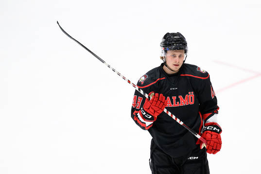 Malmö Redhawks Lauri Pajuniemi