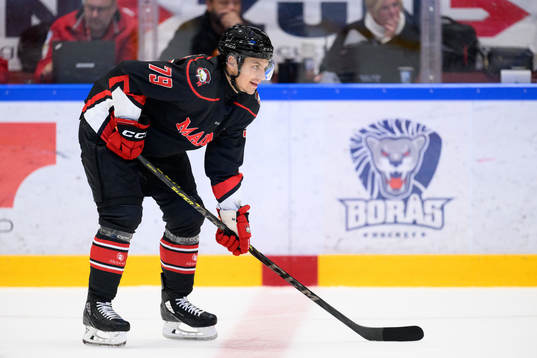 Malmö Redhawks Jakub Galvas