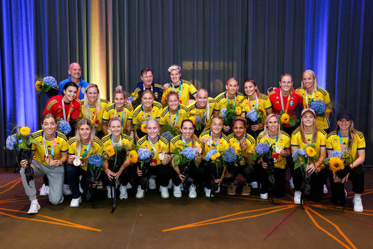 Players of Sweden