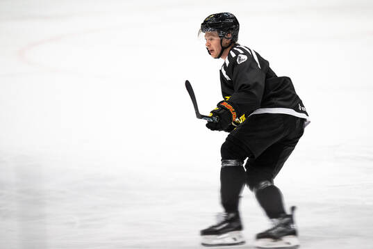 Brynäs Anton Johannesson