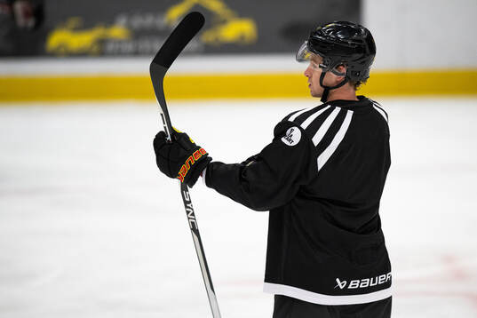 Brynäs Anton Johanesson