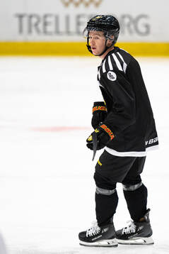 Brynäs Anton Johannesson