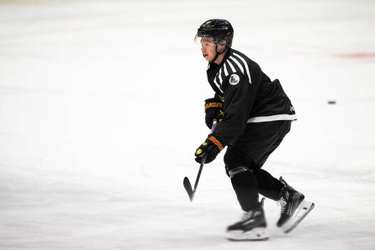 Brynäs Anton Johannesson