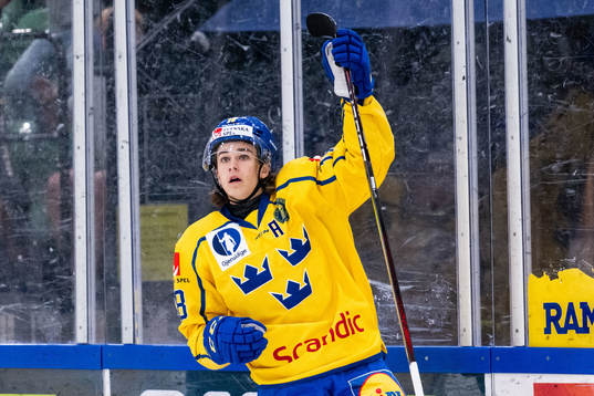 Liam Engström of Sweden celebrates