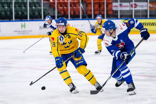Hugo Pettersson of Sweden and Maxim Strbak of Slovakia
