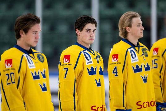Hugo Fransson of Sweden