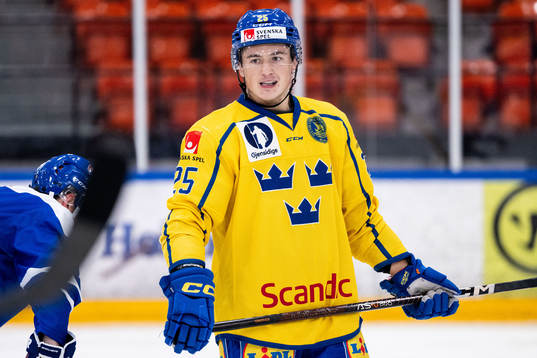 Jacob Sagadin of Sweden