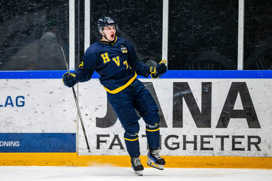HV71s Hugo Pettersson jublar