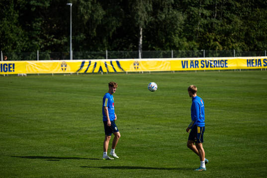 Williot Swedberg and Oscar Wilhelmsson of the Swedish