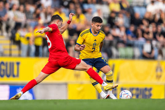 Ivan Nikolov of North Macedonia and Roony Bardghji of Sweden