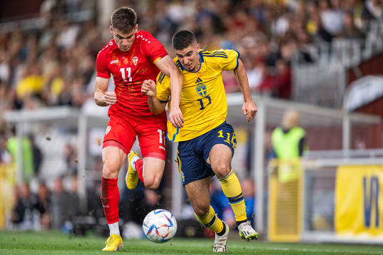Mayckel Lahdo of Sweden and Metodi Maksimov of North