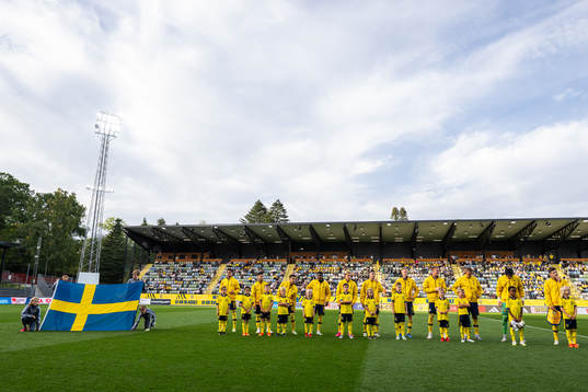 Players of Sweden