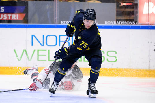 HV71s Radan Lenc