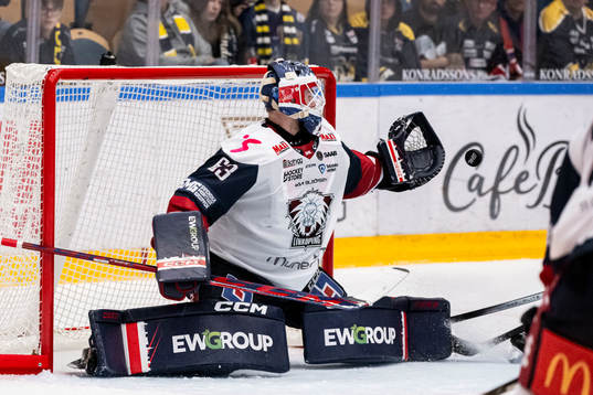 Linköpings målvakt Marcus Högberg