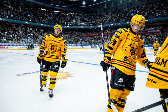 Skellefteås Simon Robertsson och Linus Lindström deppar