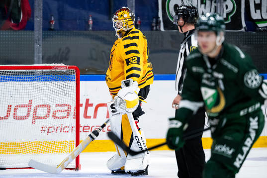 Skellefteås målvakt Linus Söderström deppar