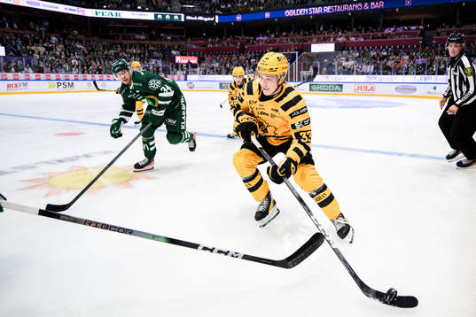 Skellefteås Zeb Forsfjäll