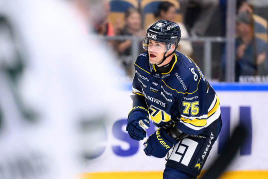 HV71s Radan Lenc jublar