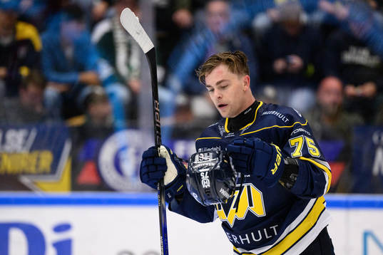 HV71s Radan Lenc deppar