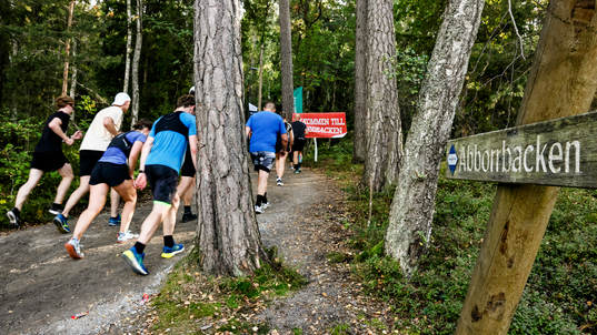 Deltagare i klassen 30 km