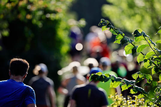 Deltagare i klassen 30 km