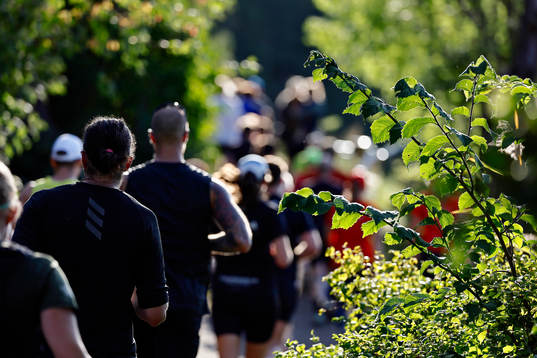 Deltagare i klassen 30 km