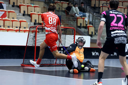 Pixbos Linus Nestorsson