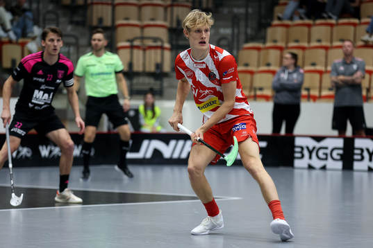 Pixbos Arvid Äse