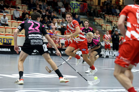 Pixbos Linus Nestorsson