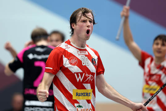 Pixbos Felix Lanver jublar