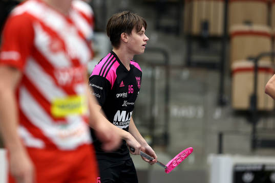 Faluns Emil Ruud