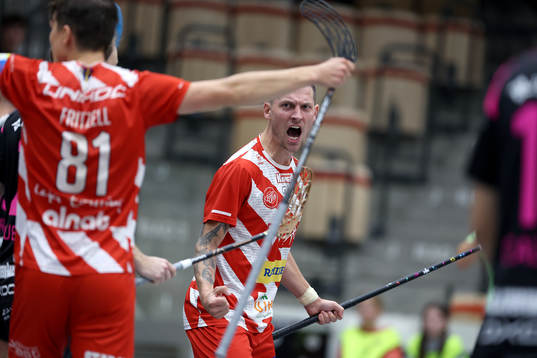 Pixbos Anton Fylke jublar