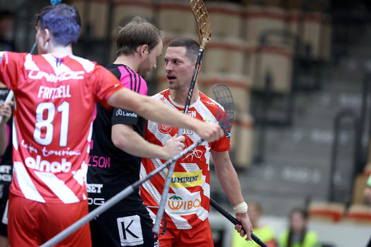 Pixbos Anton Fylke jublar