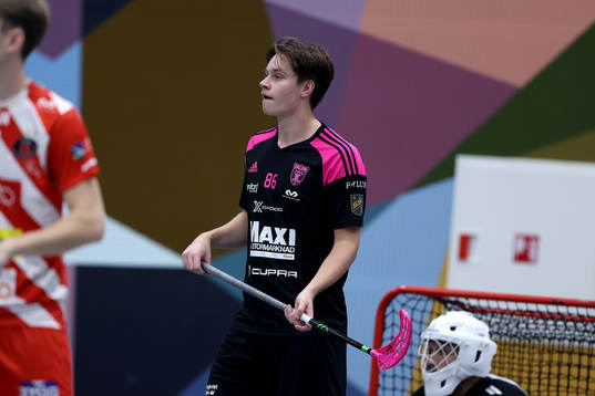 Faluns Emil Ruud