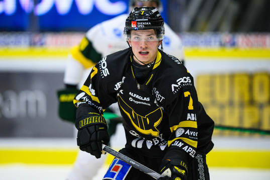 Björklövens Nicholas Schilkey