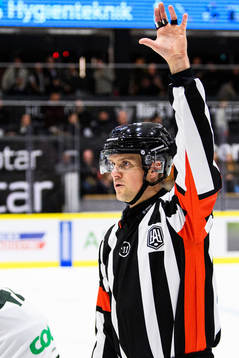 Domare Stefan Johansson