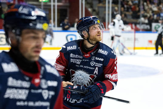 Linköpings Linus Hultström jublar