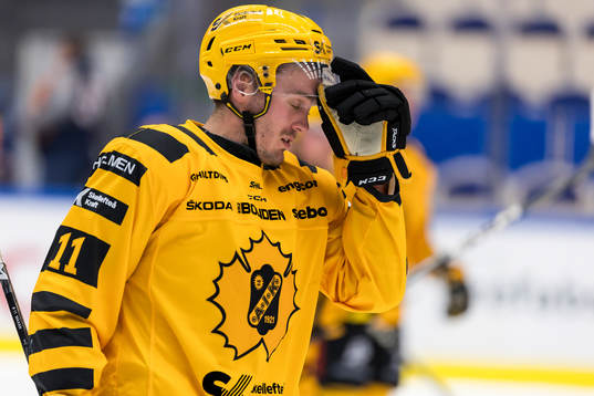Skellefteås Max Lindholm deppar