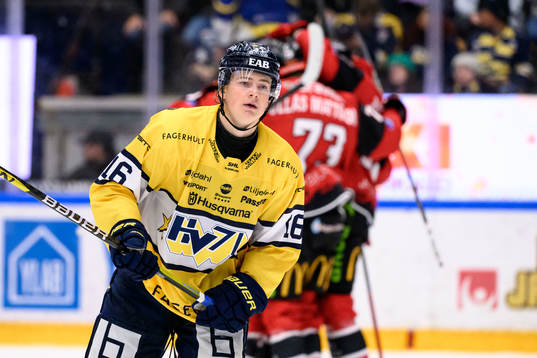 HV71s Axel Landén deppar