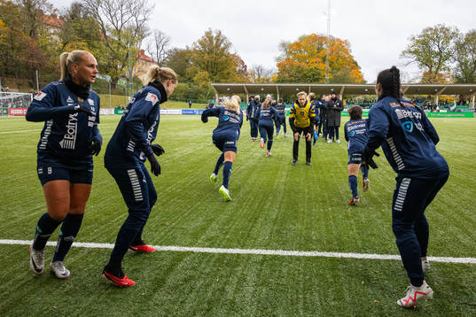 Linköpings spelarna
