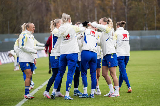 Plagers of Sweden