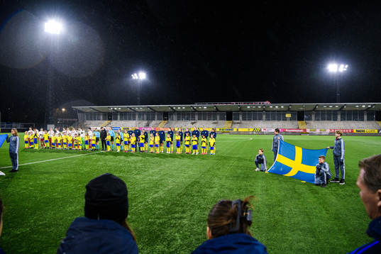 Players of Turkey and Sweden