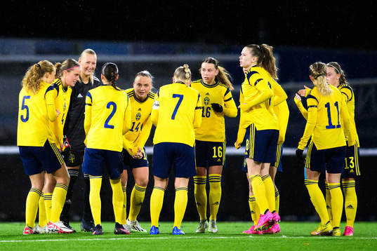 Players of Sweden gather