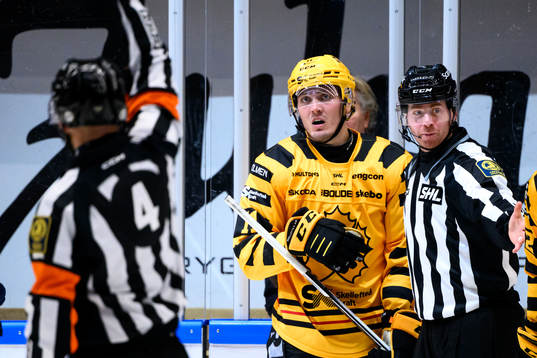 Skellefteås Max Lindholm deppar