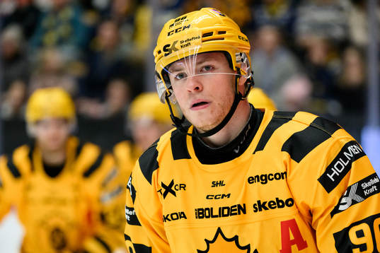 Skellefteås Rickard Hugg