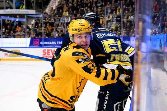 Skellefteås Zeb Forsfjäll