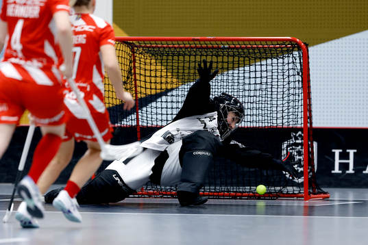 Pixbos målvakt Lara Heini