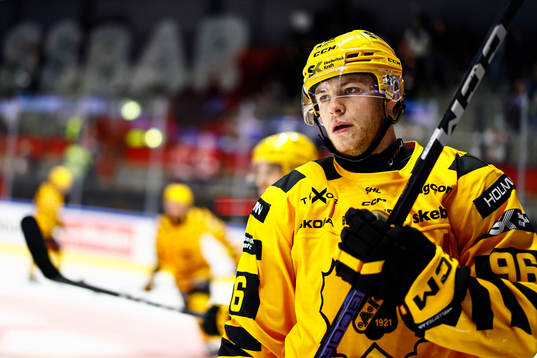 Skellefteås Rickard Hugg