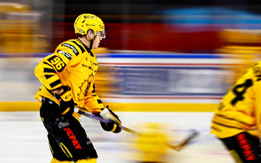 Skellefteås Rickard Hugg