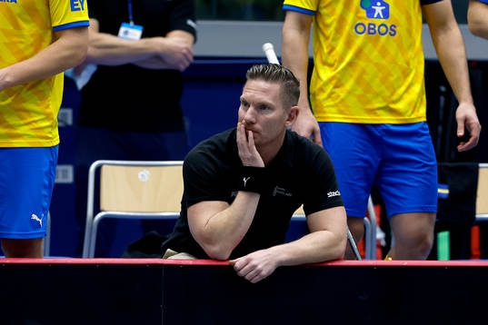 Head Coach Niklas Nordén of Sweden